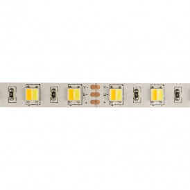 LED лента White Mix, 12 В, 12 мм, IP23, SMD 5050, 60 LED/m, цвет свечения белый (6000 К) + цвет свечения теплый белый (3000 К)