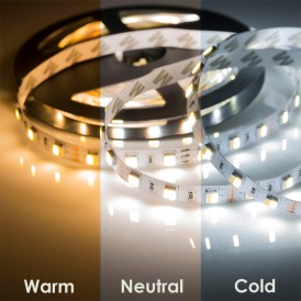 LED лента White Mix, 12 В, 12 мм, IP65, SMD 5050, 60 LED/m, цвет свечения белый (6000 К) + цвет свечения теплый белый (3000 К)