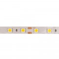 LED лента открытая, 10 мм, IP23, SMD 5050, 60 LED/m, 12 V, цвет свечения теплый белый
